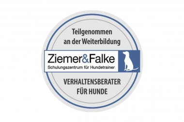 Zertifikat Ziemer & Falke