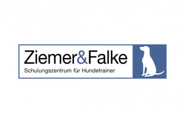 Zertifikat Ziemer & Falke