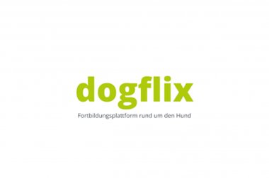 Zertifikat dogflix