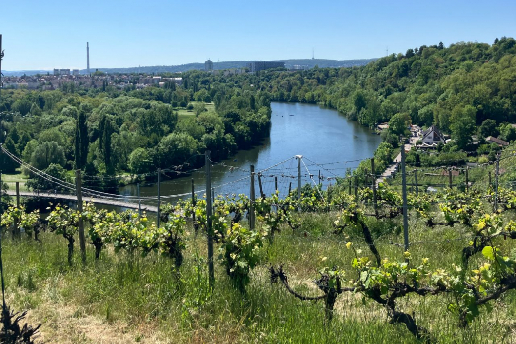 NachbarsLumpi_Genuss-Spaziergang8_1280x853.jpg