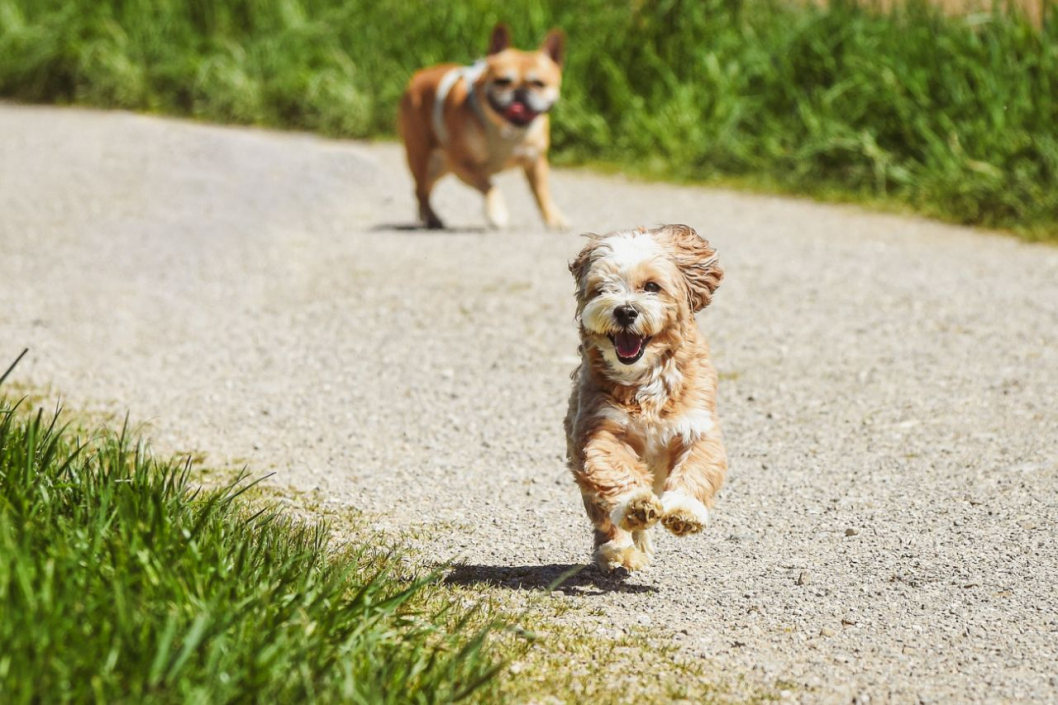 NachbarsLumpi_Lernspaziergang1_1280x853.jpg