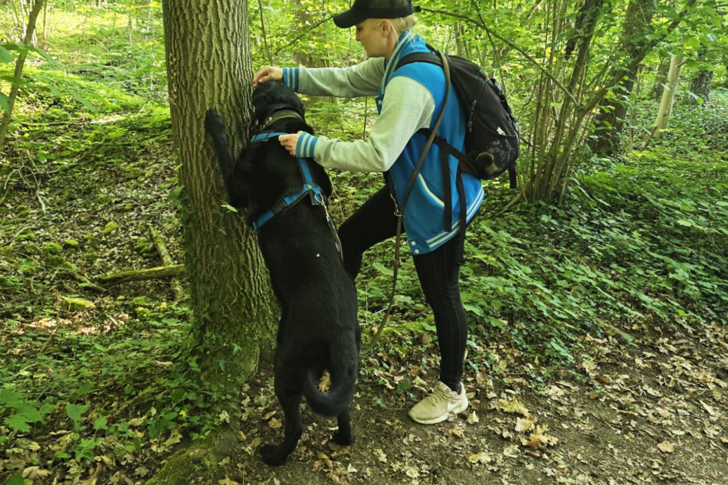 NachbarsLumpi_Lernspaziergang3_1280x853.jpg