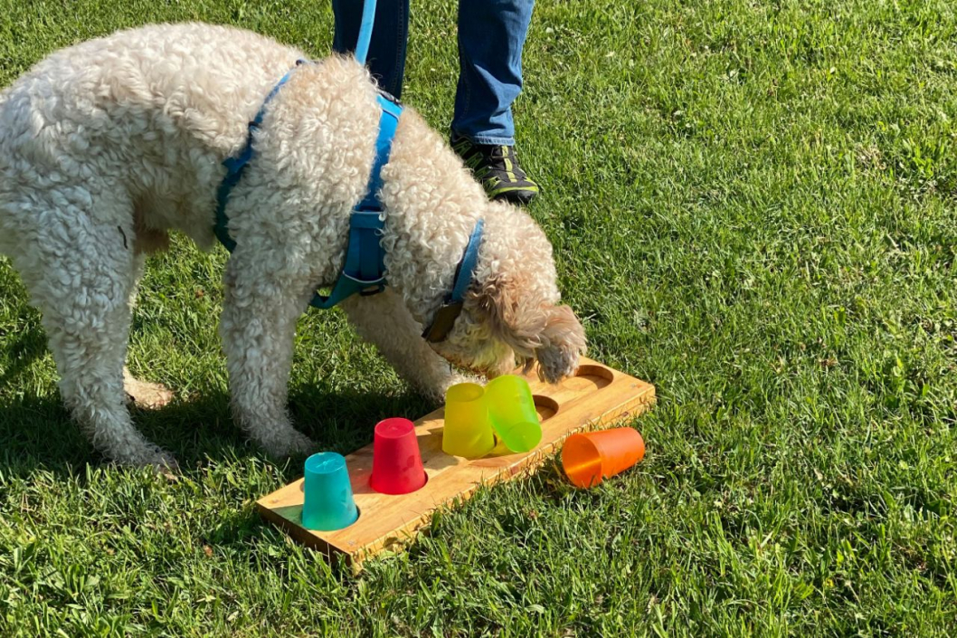 NachbarsLumpi_Spielplatzgruppe_5_1280x853.jpg