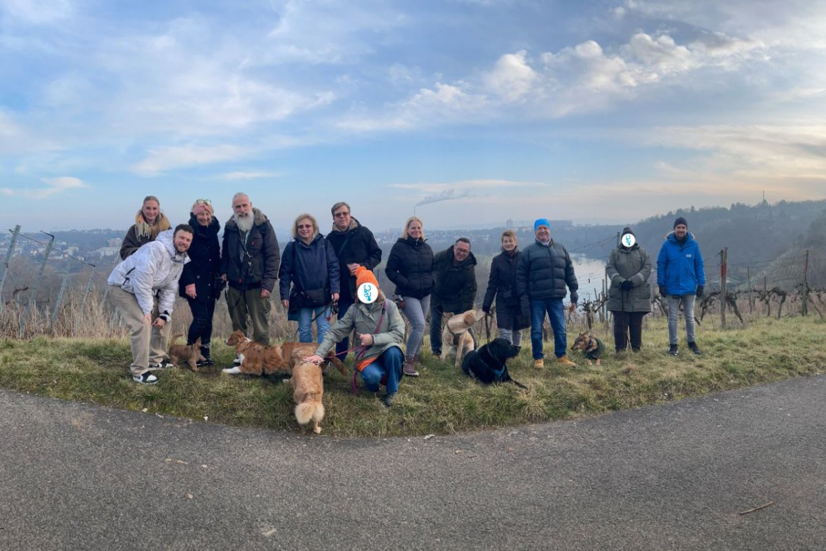 Nachbars Lumpi Weinspaziergang besonderes Erlebnis mit Hund