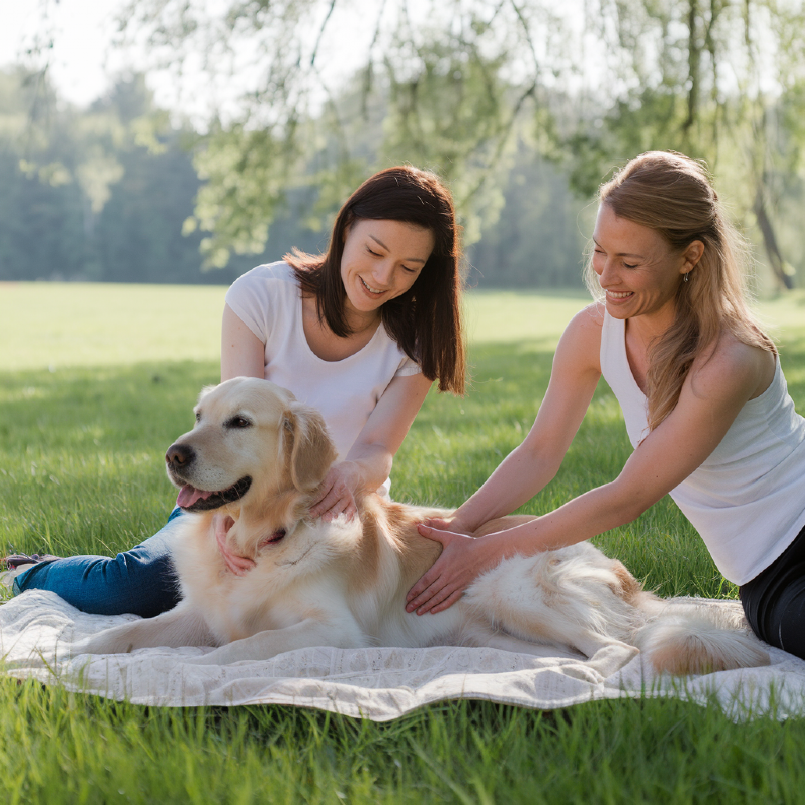Nachbars Lumpi Hundemassage lernen