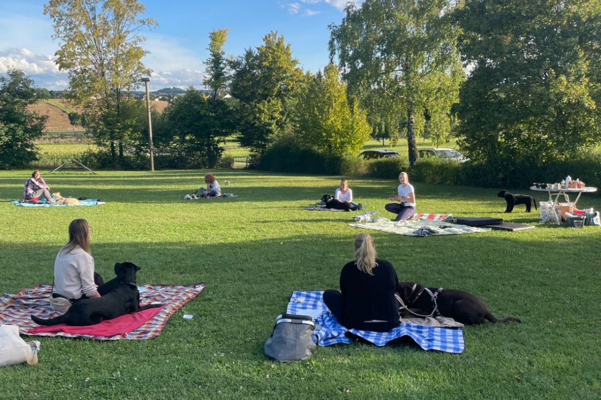 Nachbars Lumpi Wellness-Retreat die Massage kann bei verschiedenen Problemen helfen